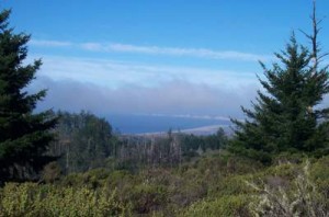 View from Mt. Wittemberg to the Pacific, Point Reyes