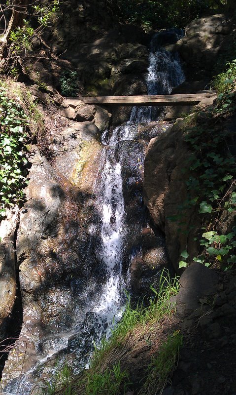 Hidden waterfall, Berkeley