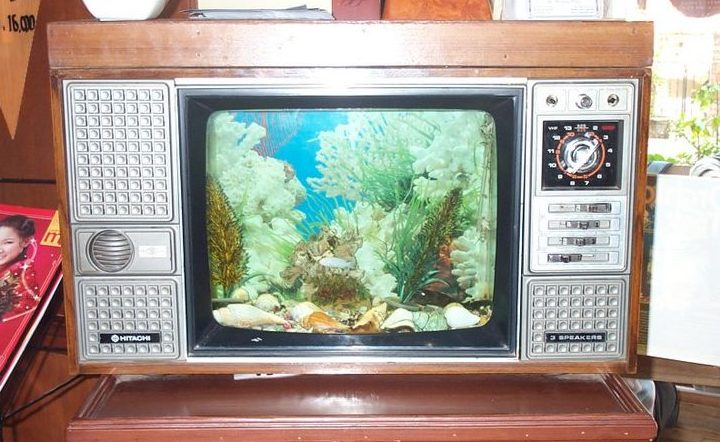 TV reborn as Fish Tank, Vientiane, Laos