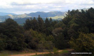 East Ridge Trail, Redwood Park