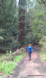 Hiking along Stream Trail, Redwood Park