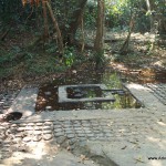 Lingams in the river bed, Kbal Spean